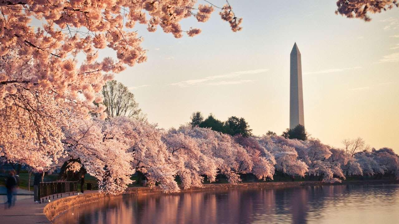 Grand Hyatt 4* Washington